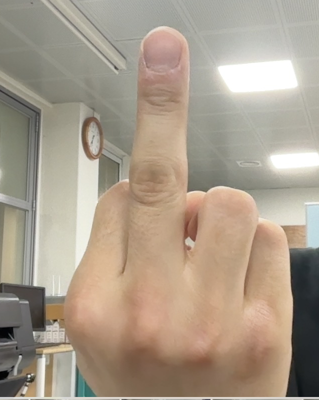 중지를 든 손을 단순화한 일러스트